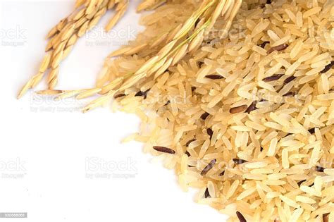 Gaba Rice Background Germinated Brown Rice Medicinal Propertie Stock