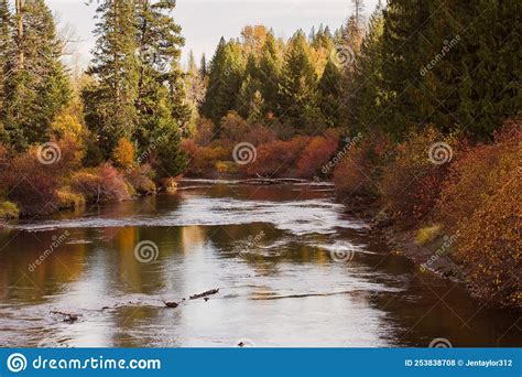 Fall Color In Trees Along Wenatchee River In Pacific Northwest Stock