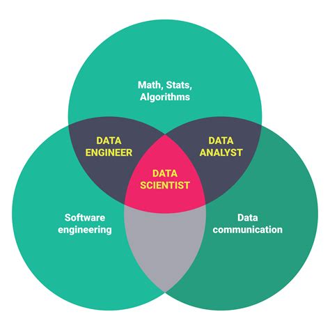 Data Science Career Paths Different Roles