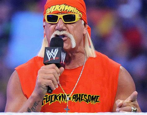 115 Million Verdict In Hulk Hogan Sex Tape Lawsuit Could Wipe Out