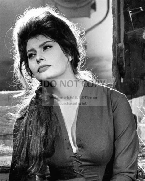 Sophia Loren Legendary Actress And Sex Symbol 8x10 Publicity Photo Ab 199 887 Picclick