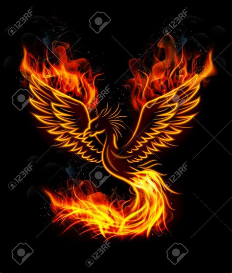 Image result for phoenix flames | Phoenix bird tattoos, Phoenix bird images, Phoenix tattoo design