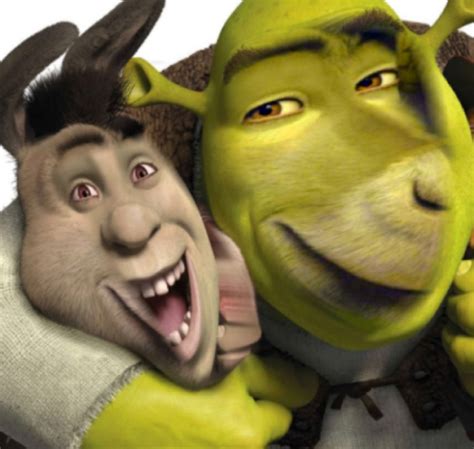 Shrek And Fiona Face Swap
