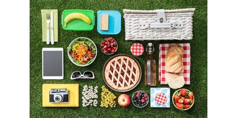 Be The Professional At Your Next Picnic Best Picnic Hacks Around