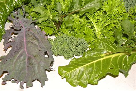 How To Cook Greens Recipes Cooking And Storing Tips
