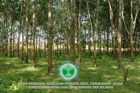 Mar 25, 2018 · skim pinjaman yang berkadar faedah rendah perlu disediakan oleh bank, terutamanya pinjaman daripada bank agrobank untuk pekebun kecil. Risda Buat Laporan Polis Berhubung Pecah Amanah Lebih RM15 ...