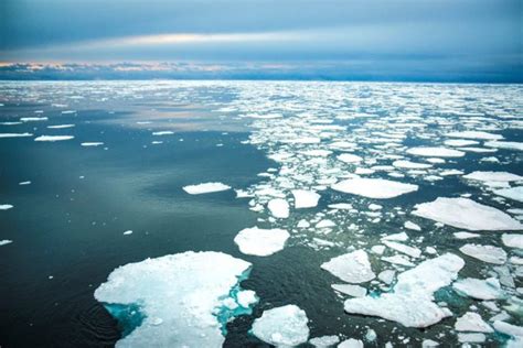 Arctic Sea Ice Thinning Twice As Fast As Thought Mfameguru