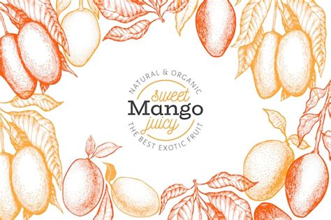 Mango Tree Images Free Vectors Stock Photos And Psd