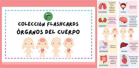 Hoy Os Comparto Esta Nueva Colección De Flashcards O Tarjetas