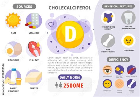 Infographics Vitamin D Products Containing Vitamin Daily Norm