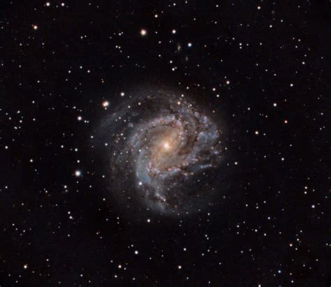 M83 The Southern Pinwheel Galaxy Macarthur Astronomical Society