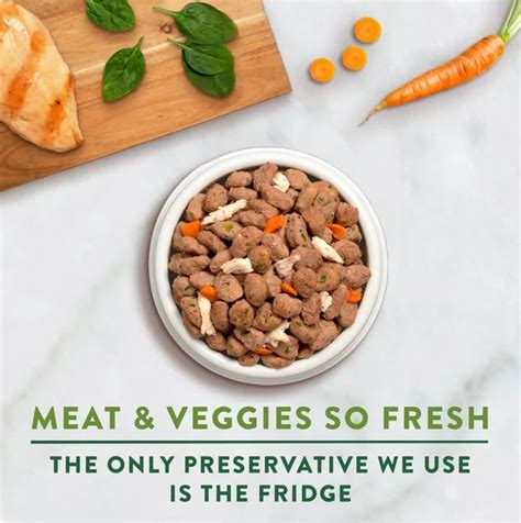 Freshpet Healthy And Natural Dog Food Fresh Chicken Recipe 55lb Bag Ebay