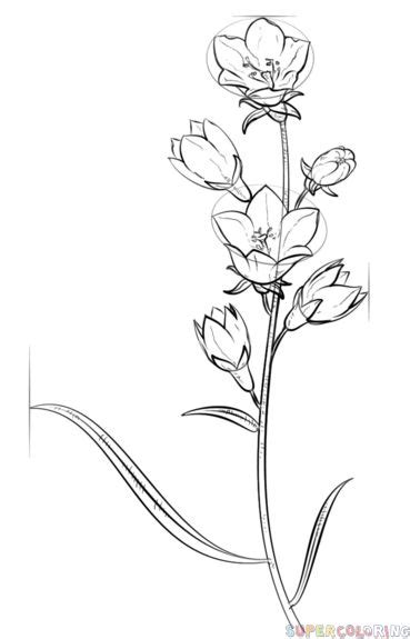 This ensures that both mac and windows users can download the coloring sheets and that. Colour Drawing Pictures Of Flowers at GetDrawings | Free download
