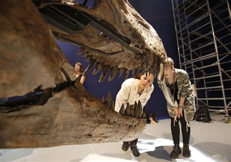 How Sex Killed Tyrannosaurus Rex Paleontology World