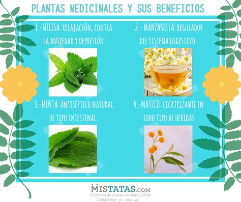 Plantas Medicinales Y Sus Beneficios