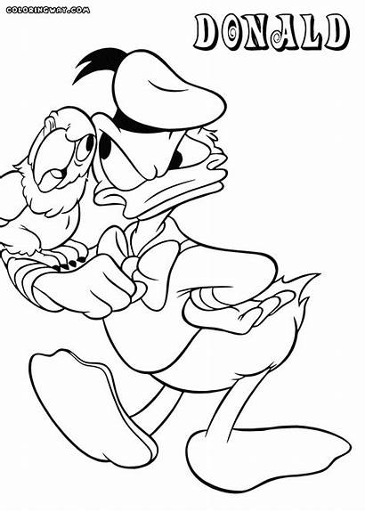Donald Duck Coloring Pages Cartoon Colorings Donaldduck
