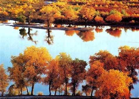 Top 10 Places To See Autumn Scenery In China China Whisper