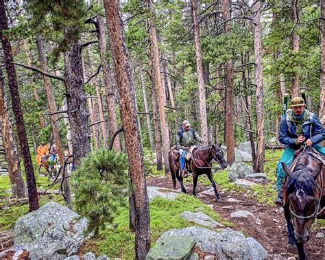 The 10 Best Wyoming Horseback Riding Tours With Photos Tripadvisor