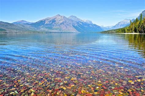 The Colored Pebbles Of Lake Mcdonald Amusing Planet