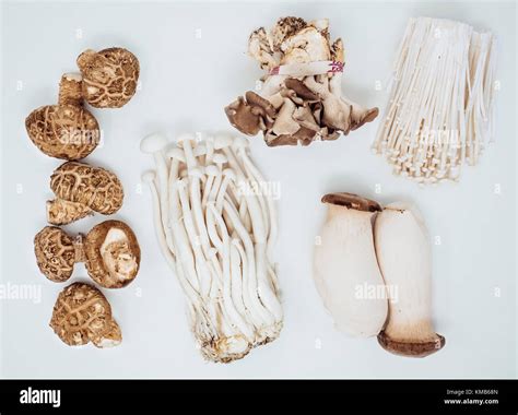 Five Types Of Mushrooms Shiitake Seafood Oyster King Oyster Enoki