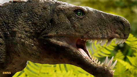 16 Foot Crocodile Nicknamed Swamp King Was Earths Terror Millions Of Years Ago Fox News