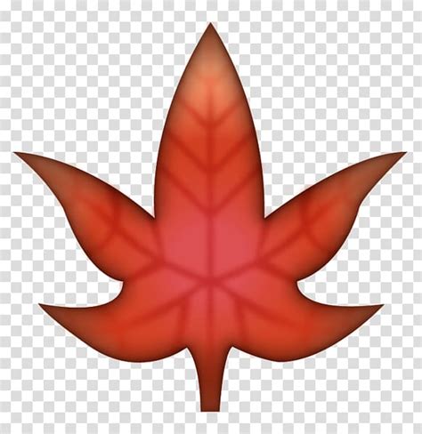 Emoji Maple Leaf Canada Flaming Maple Leaves Transparent Background