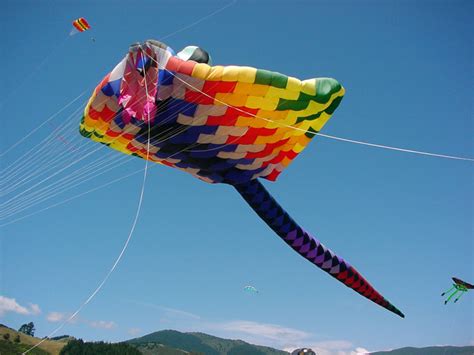 15 Biggest Kites In The World