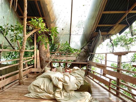 The Gibbon Experiences Treehouses Can Only Be Accessed By Zip Line