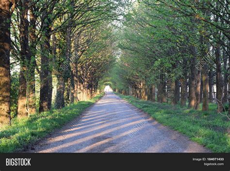 Road Along Tree Image And Photo Free Trial Bigstock