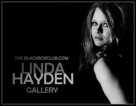 The Black Box Club The Linda Hayden Gallery The Terror Teaser Posts And Updates Start Today