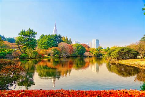 Best Parks In Tokyo Lonely Planet