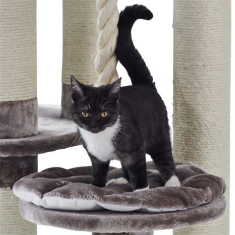 Cat Trees Lowest Prices Guaranteed Free Delivery