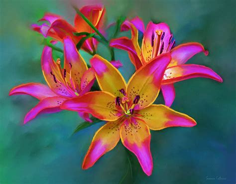 Lily Flower Painting Full Image