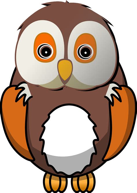 Bird Owl Animal Free Vector Graphic On Pixabay