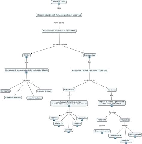 Top 76 Imagen Mapa Mental De Anomalias Cromosomicas Viaterramx