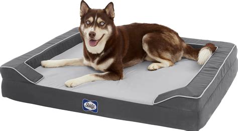 Sealy Lux Premium Orthopedic Bolster Dog Bed Wremovable Cover Grey X
