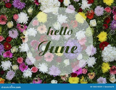 Hello June Welcoming Card With Text On A Summer Flowers Natural Floral