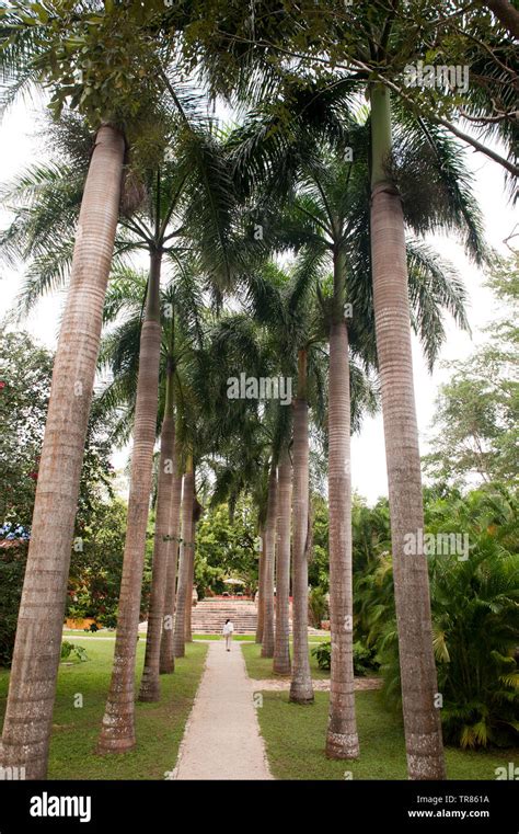 Hacienda San Jose Yucatan Mexico Stock Photo Alamy