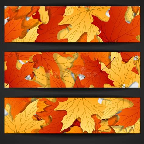 Autumn Leaves Background Stock Vector Illustration Of Yellow 34955904
