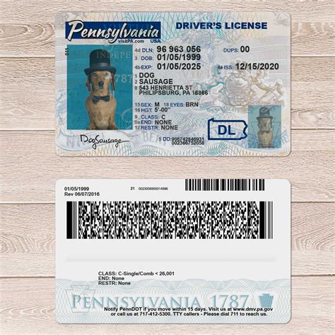 Pensylvania Driver License Template Driver License Template