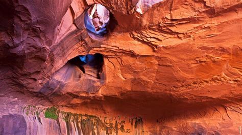 Golden Cathedral In The Canyons Of The Escalante Utah