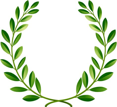 Greenpeace Olive Branch Png Clipart Behalf Branch Clipart Circle 75e