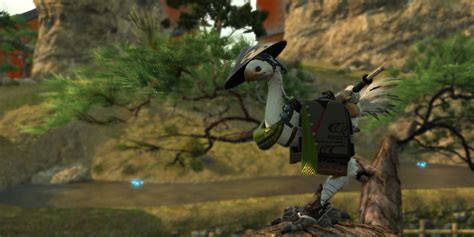 How To Get Every Type Of Chocobo Barding In Ffxiv