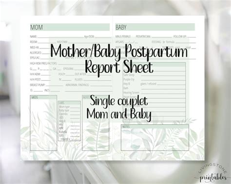 Printable Mother Baby Nursing Report Sheet Couplet Care Etsy