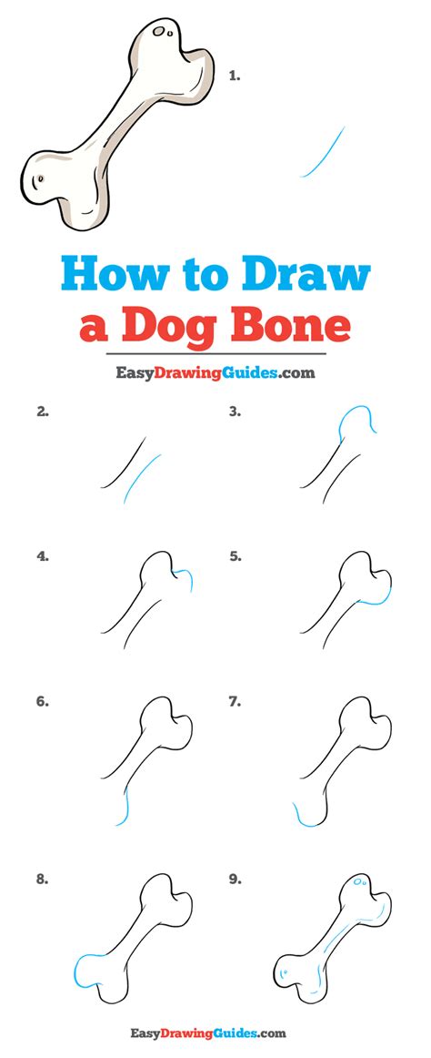 How To Draw A Dog Bone Really Easy Drawing Tutorial