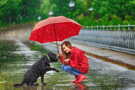 How To Keep Your Pets Healthy During The Rainy Season