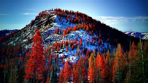 First Snow At Autumn Fall Trees Trees Mountain Winter Colors