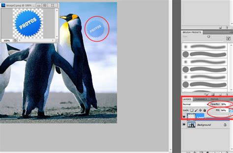 Watermark Images With Photoshop For Beginner