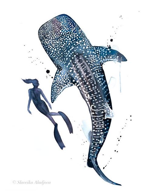 Freediver With Whale Shark Watercolor Painting Print By Etsy Shark