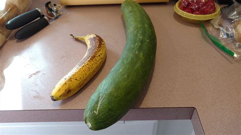 Our Humongous Cucumber Banana For Scale Rgardening